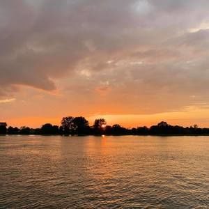 Meet your Posher, Genevieve